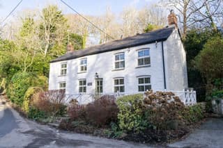 Rose in Vale Cottage