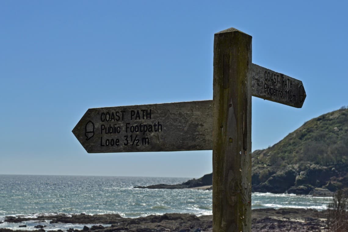 Little Phoenix photo 5