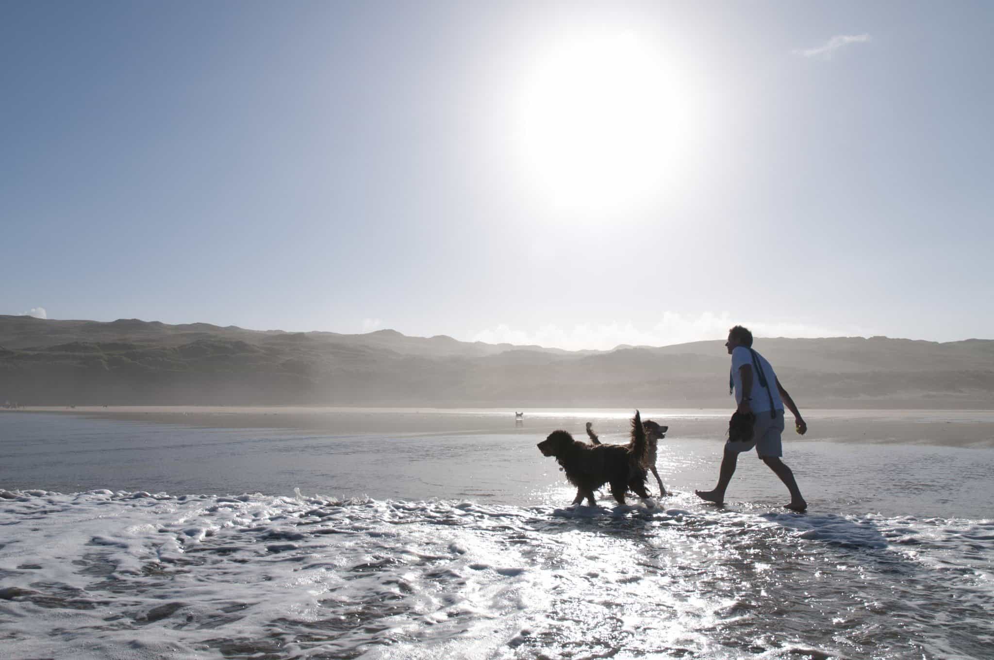 Our Guide to Dog Friendly Places to Stay