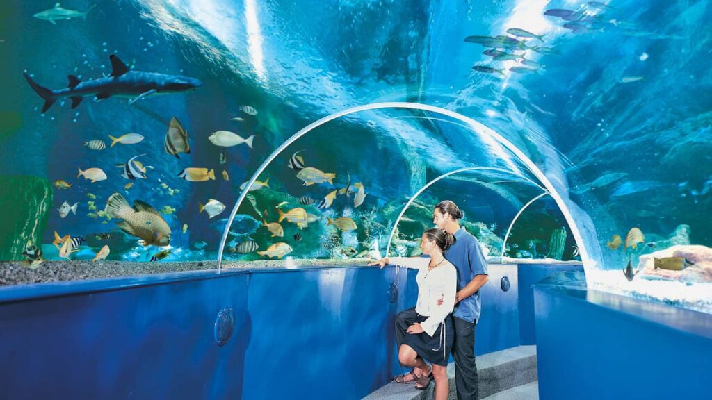 blue reef aquarium 1