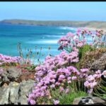 A Virtual Day Tour of   Cornwall’s Rugged North Coast