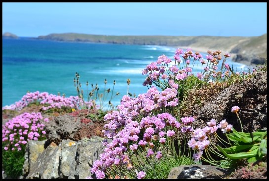 A Virtual Day Tour of   Cornwall’s Rugged North Coast